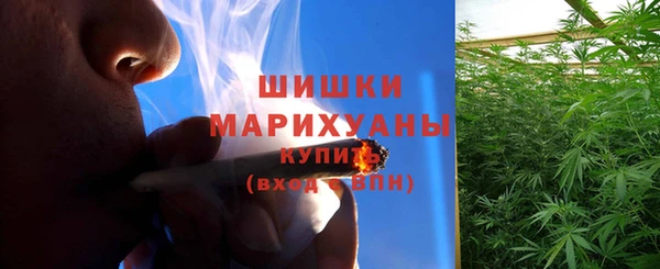 Альфа ПВП Елабуга
