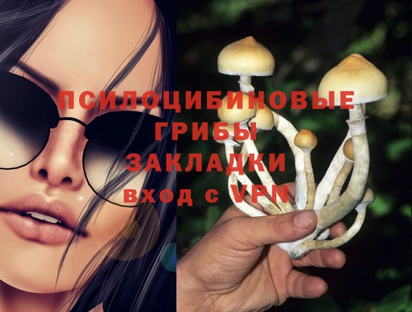 PSILOCYBIN Елизово