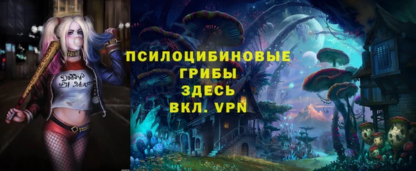 соль курить ск Ельня