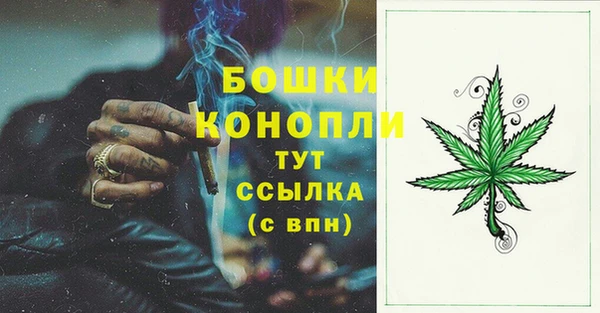 PSILOCYBIN Елизово