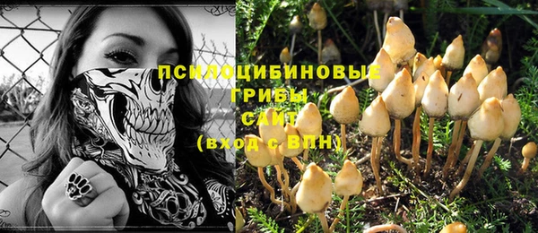 Альфа ПВП Елабуга