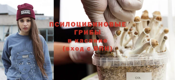 стаф Анива